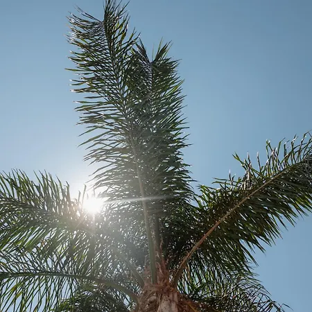 Beachfront With Terrace, Pool And Tennis Court In Costabella, דירה *
